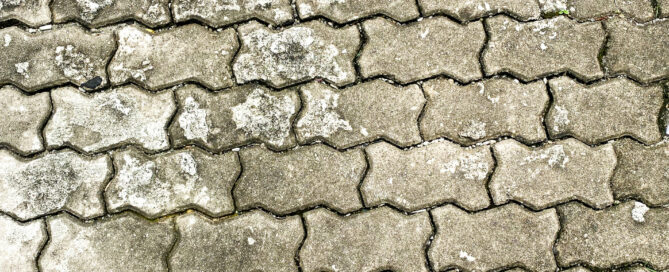 How to Get Rid of Black Spots on Patio