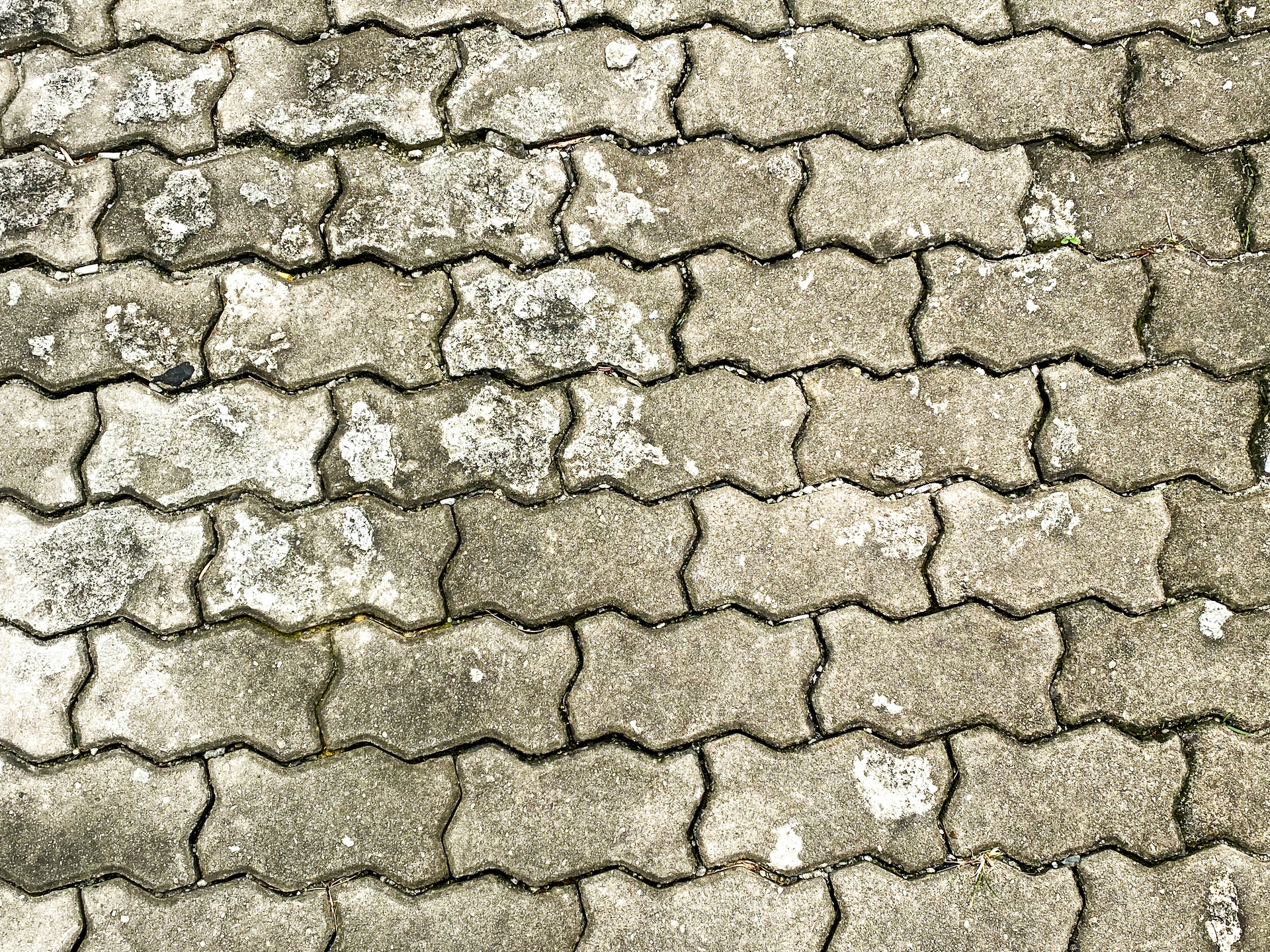 How to Get Rid of Black Spots on Patio