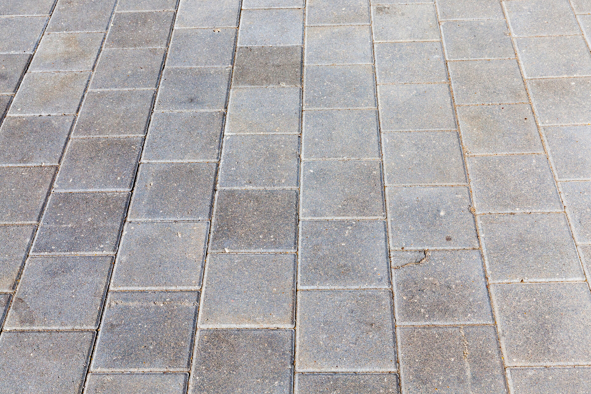 Gray rectangular stone pavers arranged in a linear pattern on a walkway or patio surface.